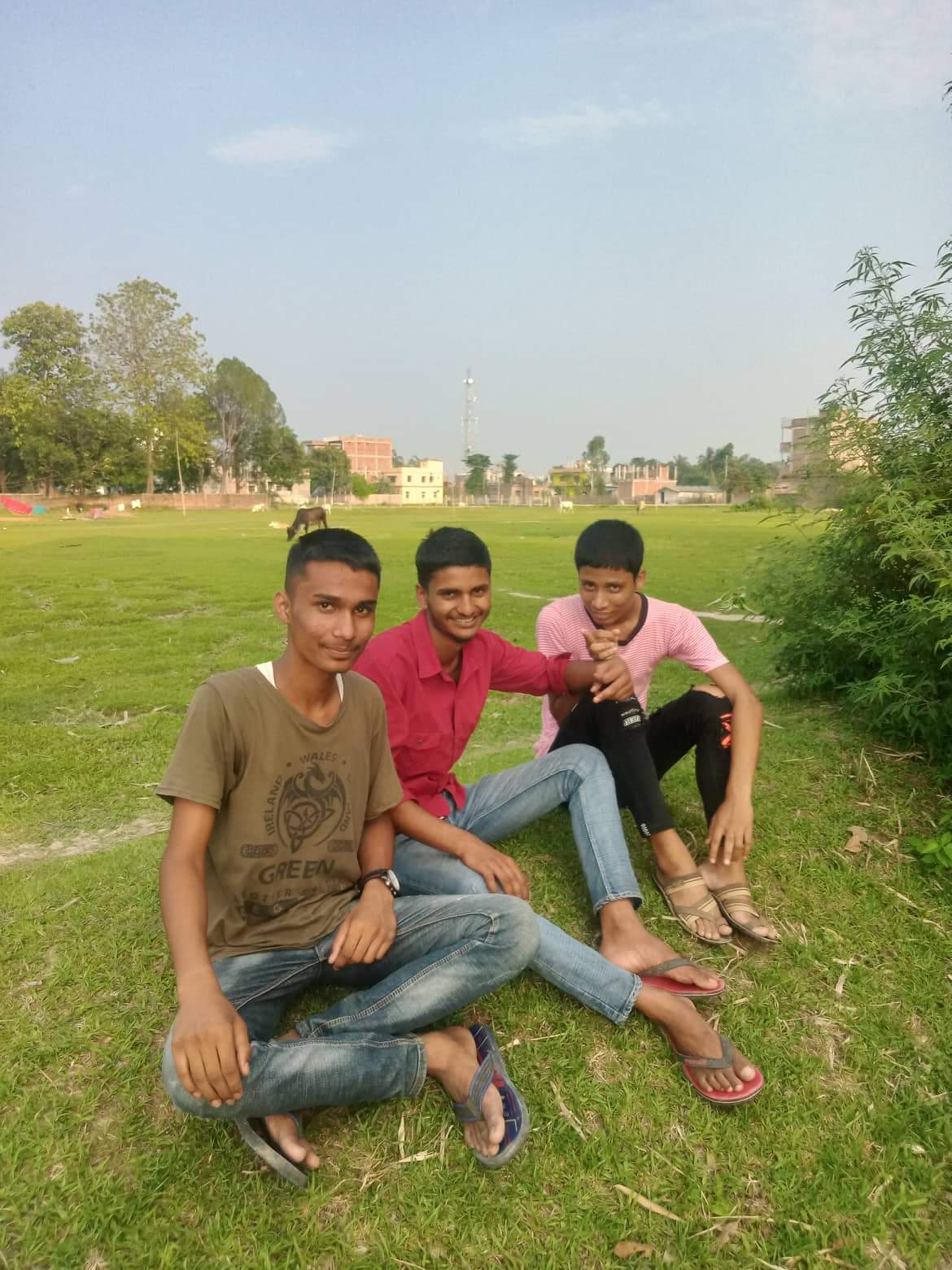 Adolescent Friendships